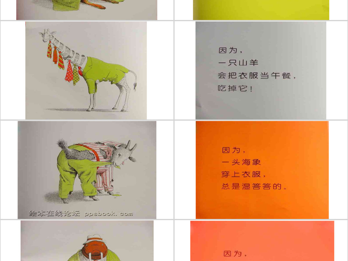 动物绝对不应该穿衣服 动物绝对不应该穿衣服