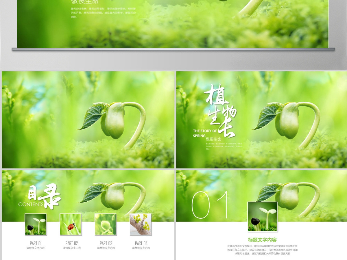 原创开场视频小树苗生长发芽成长春天ppt模板-版权可商用 原创开场视频小树苗生长发芽成长春天ppt模板-版权可商用