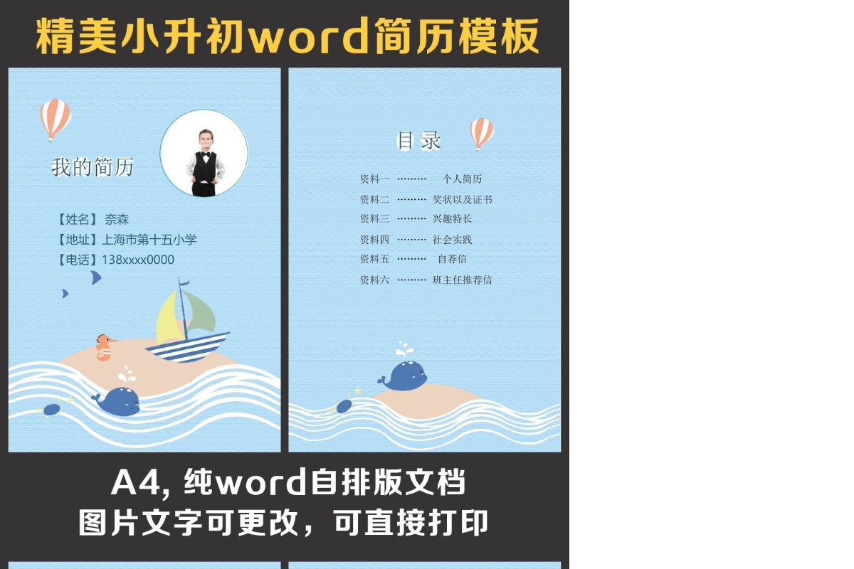 小升初简历