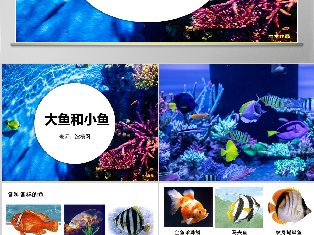 岭南版美术一年级下册7、大鱼和小鱼ppt 岭南版美术一年级下册7、大鱼和小鱼ppt