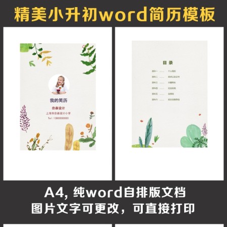 小升初简历