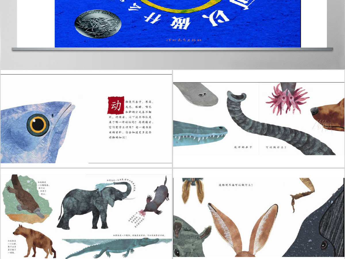 这样的尾巴可以做什么幼儿绘本教育课件 这样的尾巴可以做什么幼儿绘本教育课件