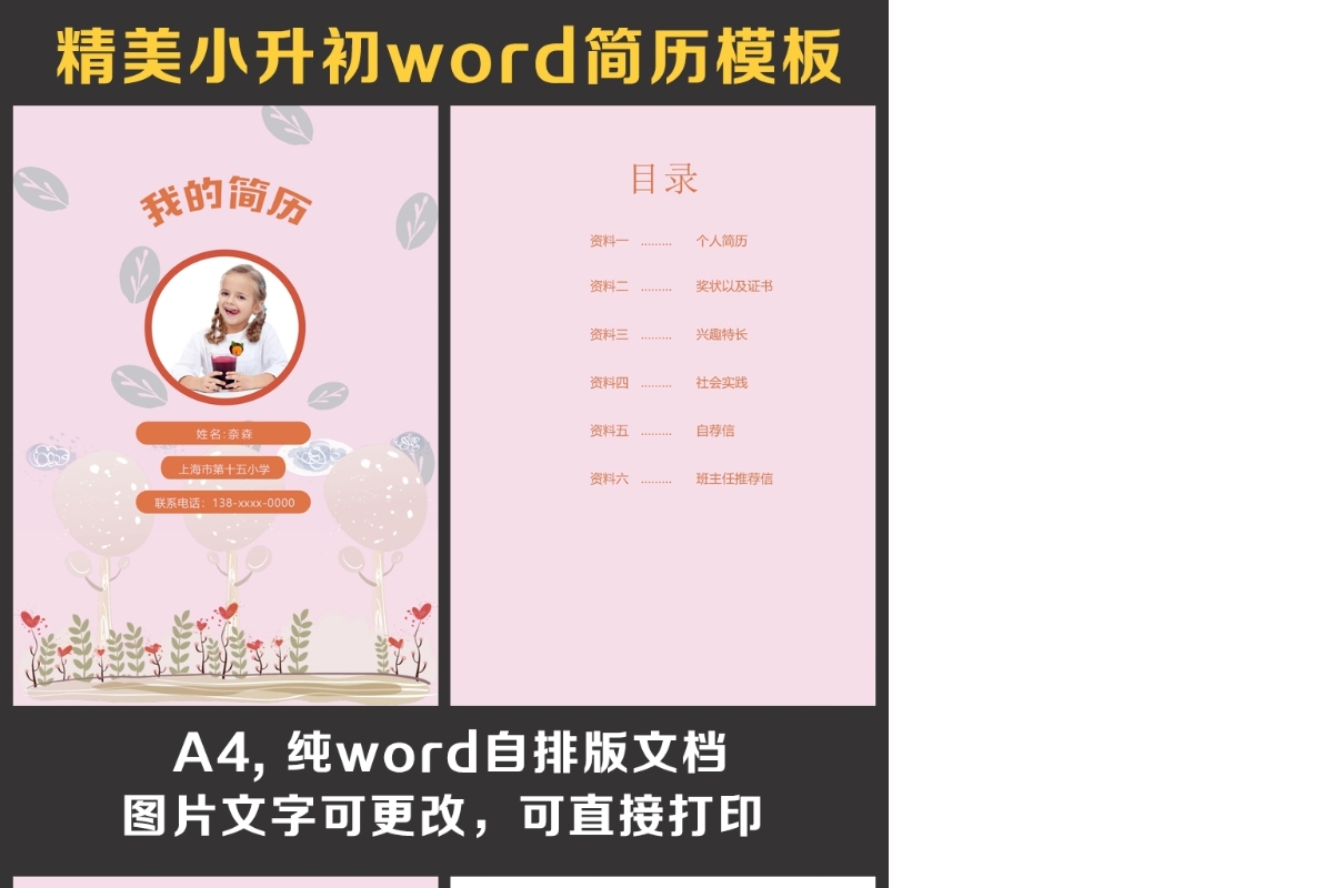 小升初简历