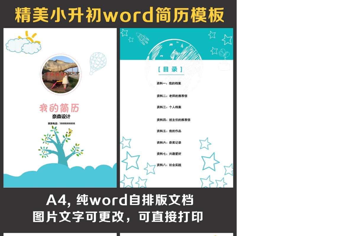 小升初简历