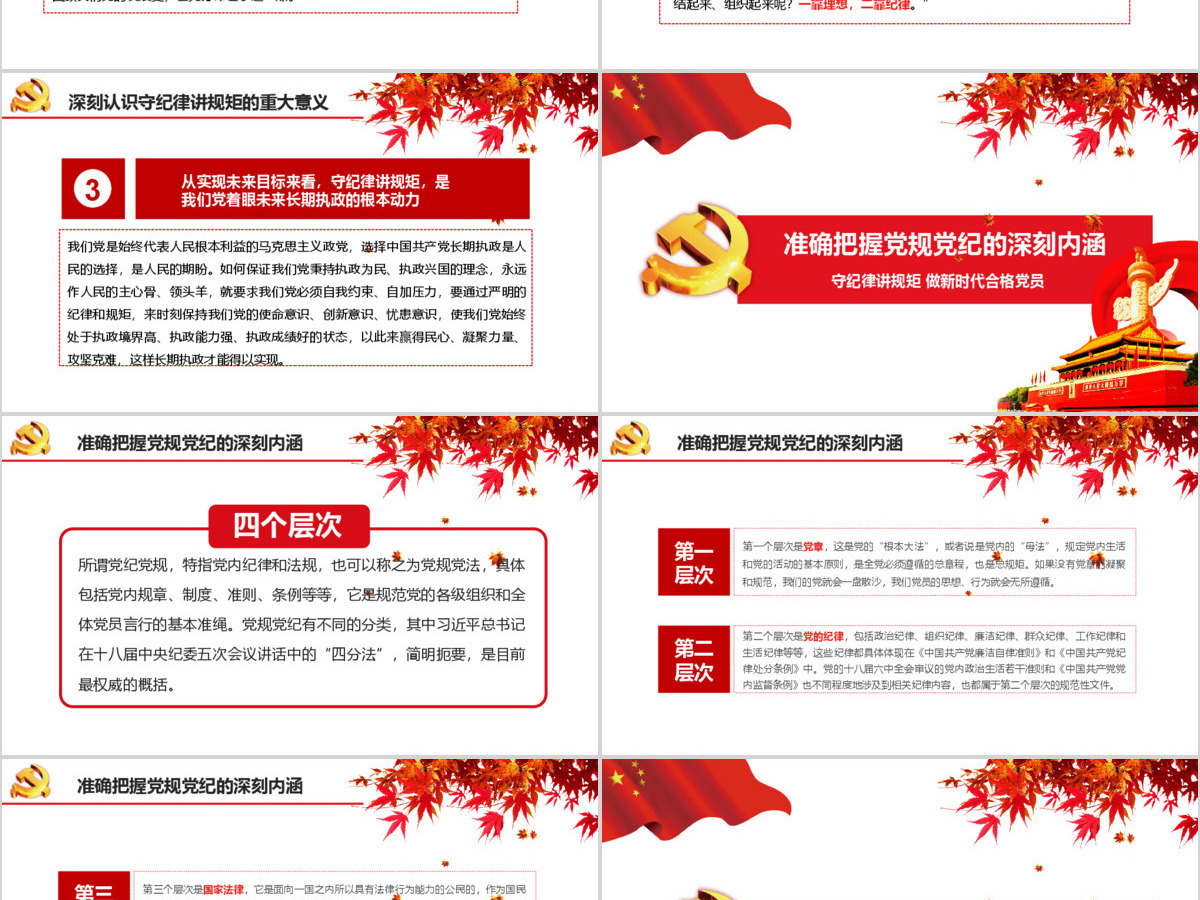 新时代合格党员守规矩讲纪律PPT模板