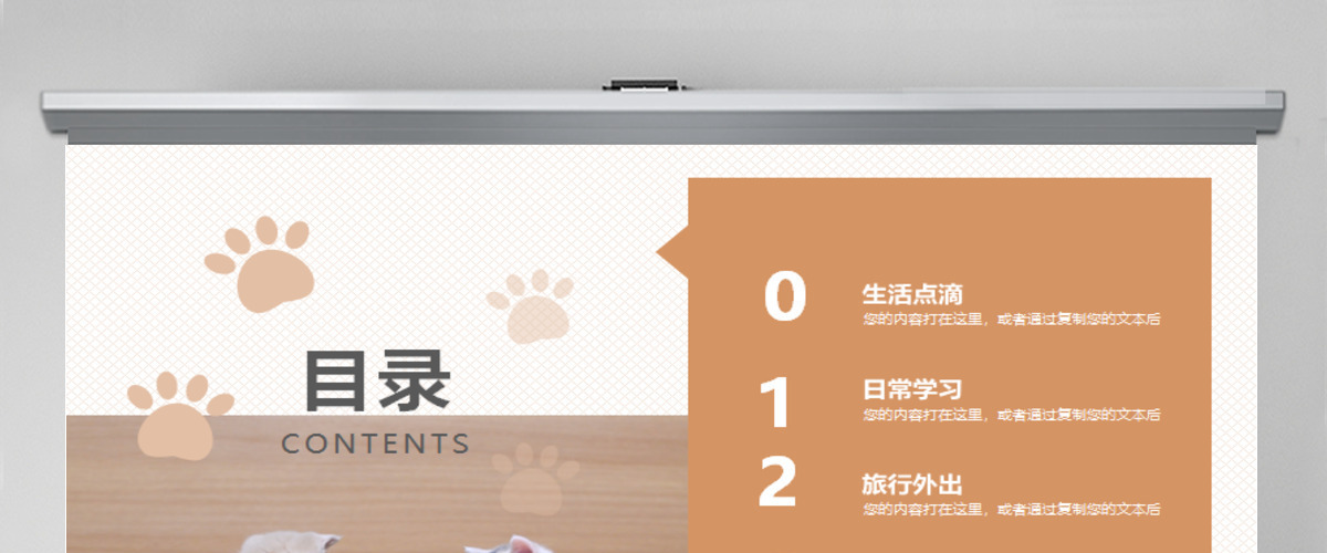橙色可爱风格宠物小猫咪小动物宠物画册