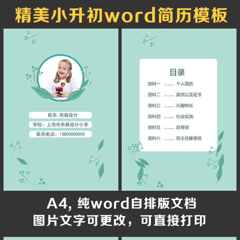 小升初简历
