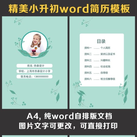 小升初简历