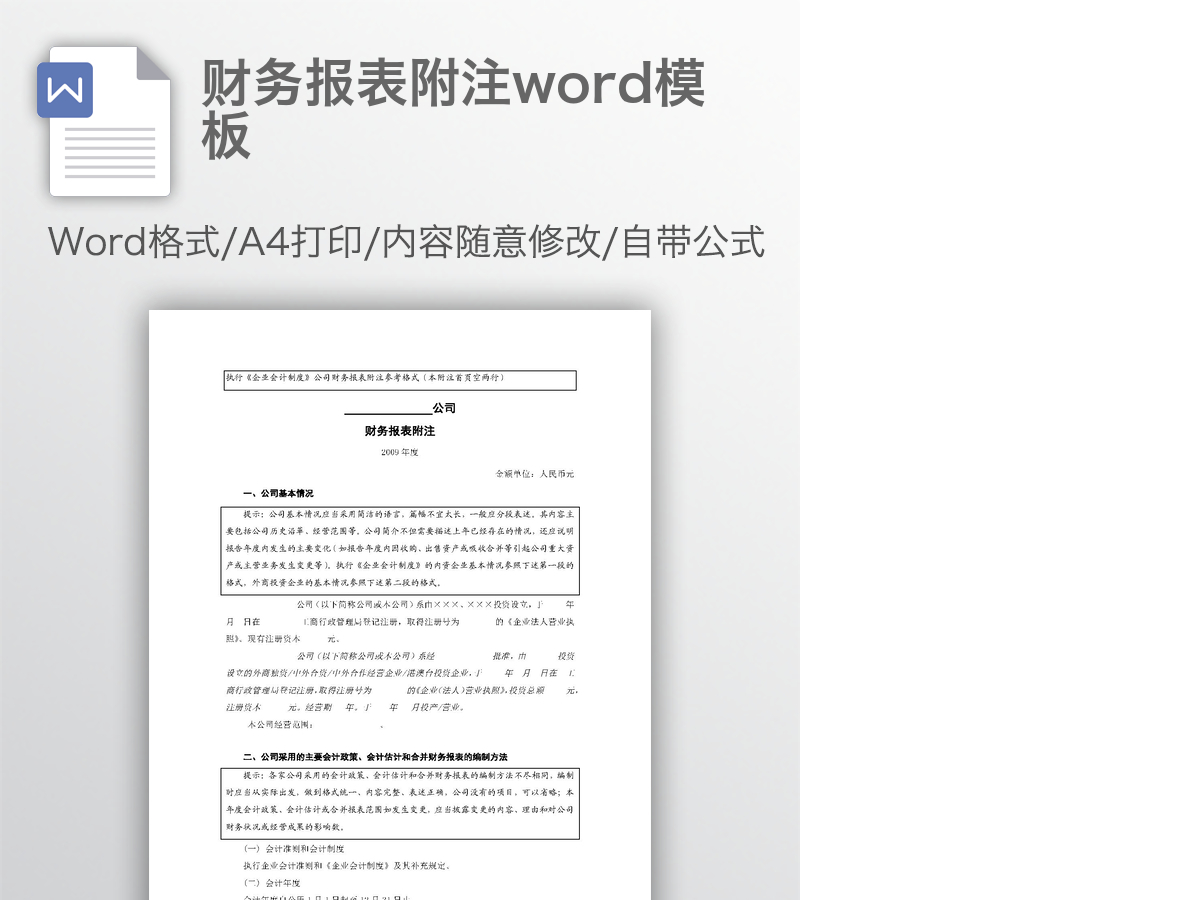 财务报表附注word模板