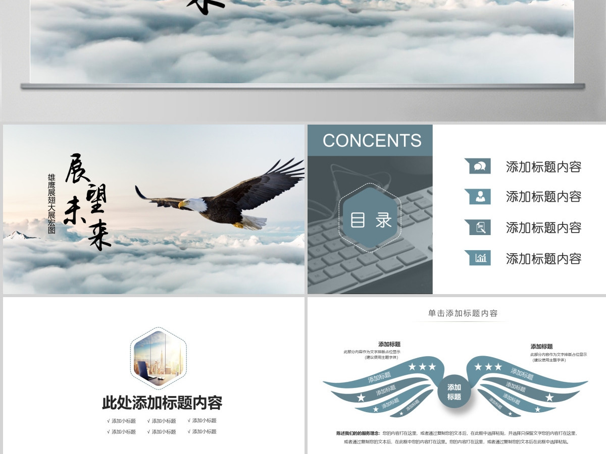 展望未来大展飞鹰企业发展目标PPT模版