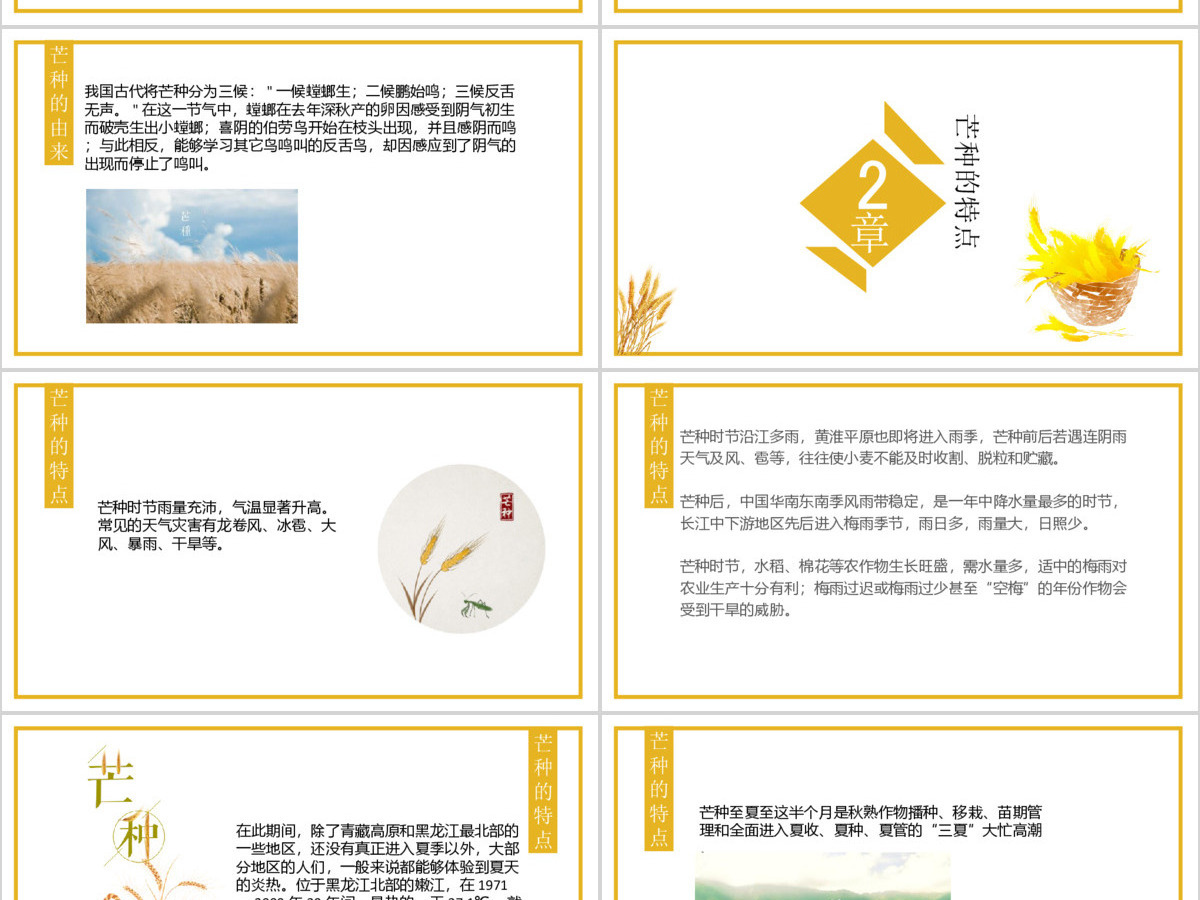 二十四节气民俗介绍芒种PPT模板