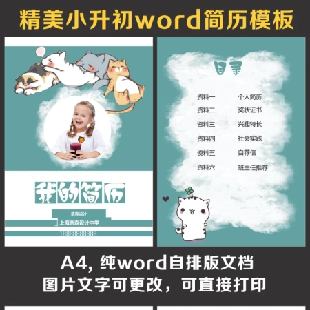 小升初简历