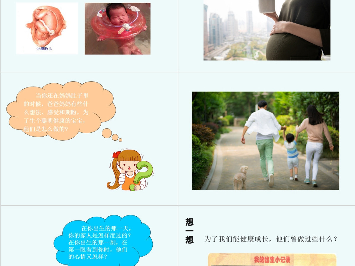 四年级品德与社会我们的生命课件PPT 四年级品德与社会我们的生命课件PPT