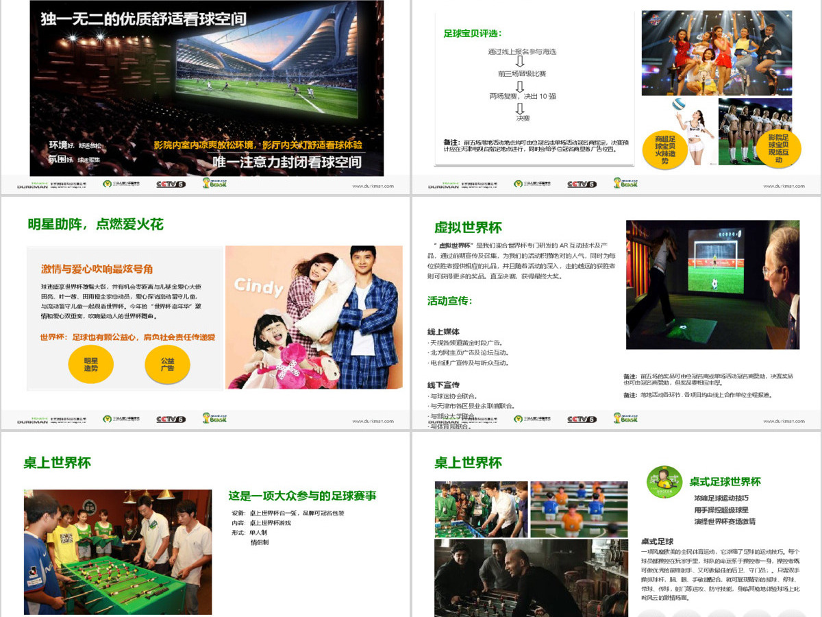 世界杯.大爱无欲善行无疆.雪阳居“世界杯嘉年华”招商方案