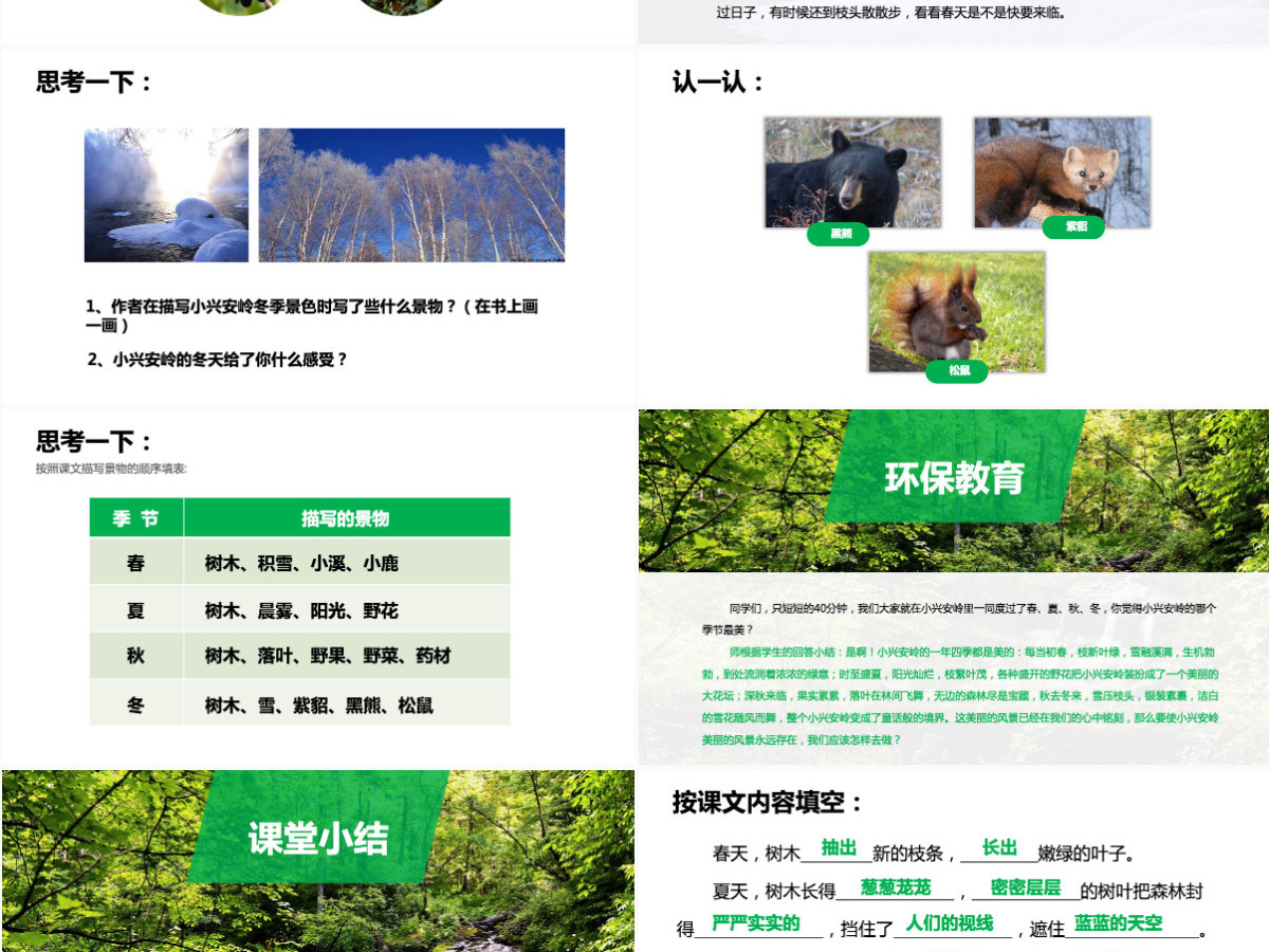 三年级语文美丽的小兴安岭课件PPT模板 三年级语文美丽的小兴安岭课件PPT模板