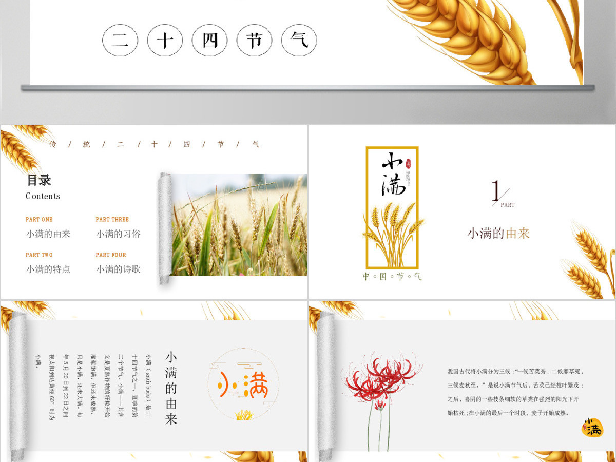 简约风麦穗中国二十四节气小满介绍PPT模板 简约风麦穗中国二十四节气小满介绍PPT模板