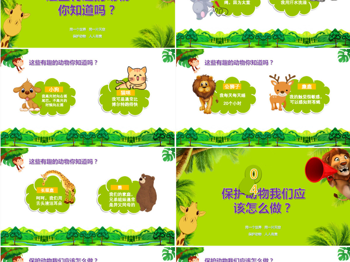 世界动物日介绍保护动物ppt 世界动物日介绍保护动物ppt