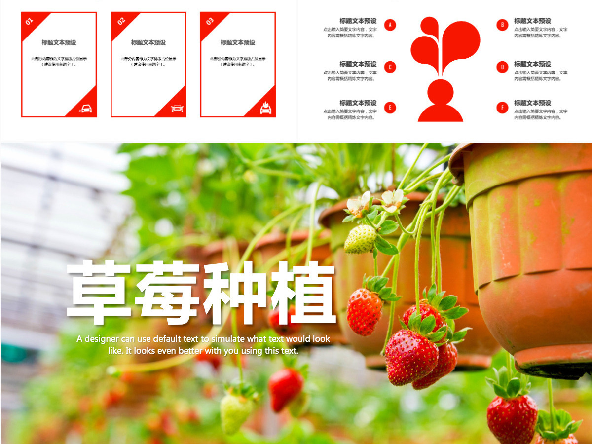 水果草莓园绿色水果农产品种植基地PPT模板