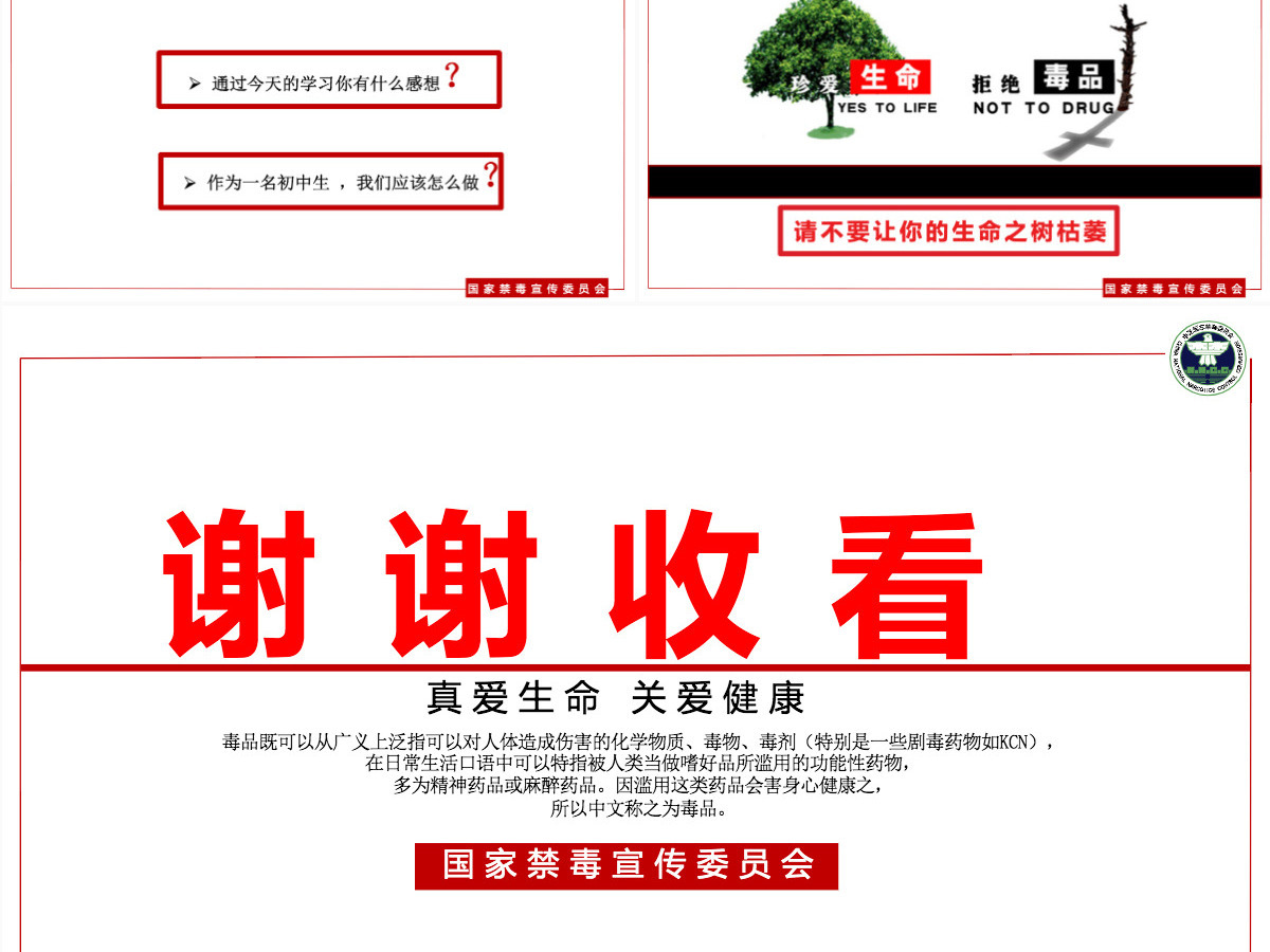 【完整内容】国际禁毒日珍爱生命远离毒品禁毒知识教育PPT课件模板