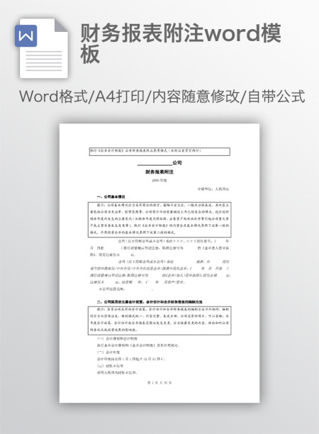 财务报表附注word模板