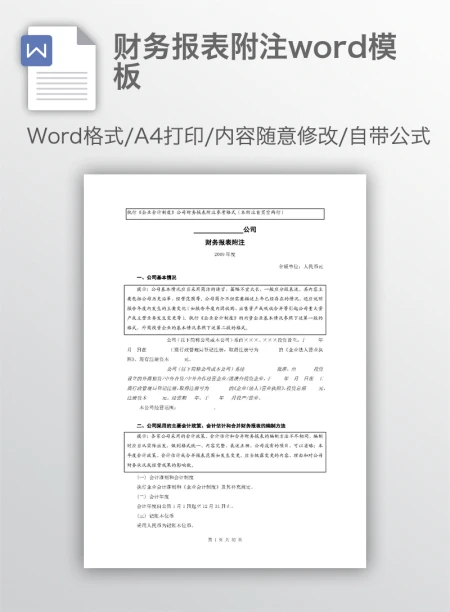 财务报表附注word模板