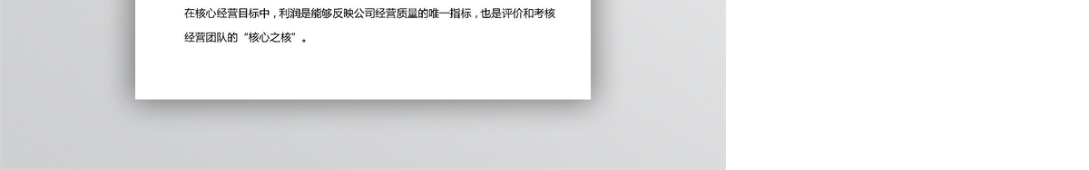 公司年度经营计划