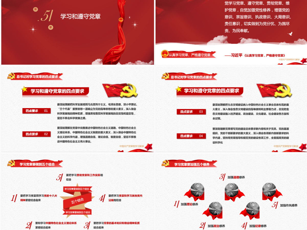 中国共产党章程党章党规学习解读PPT模板幻灯片