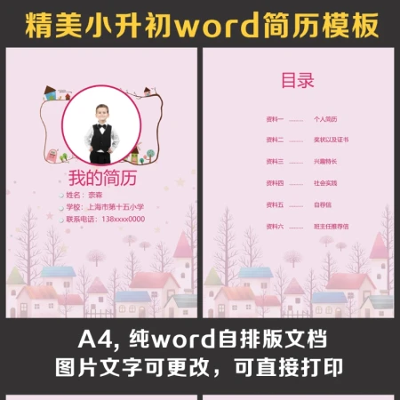 小升初简历