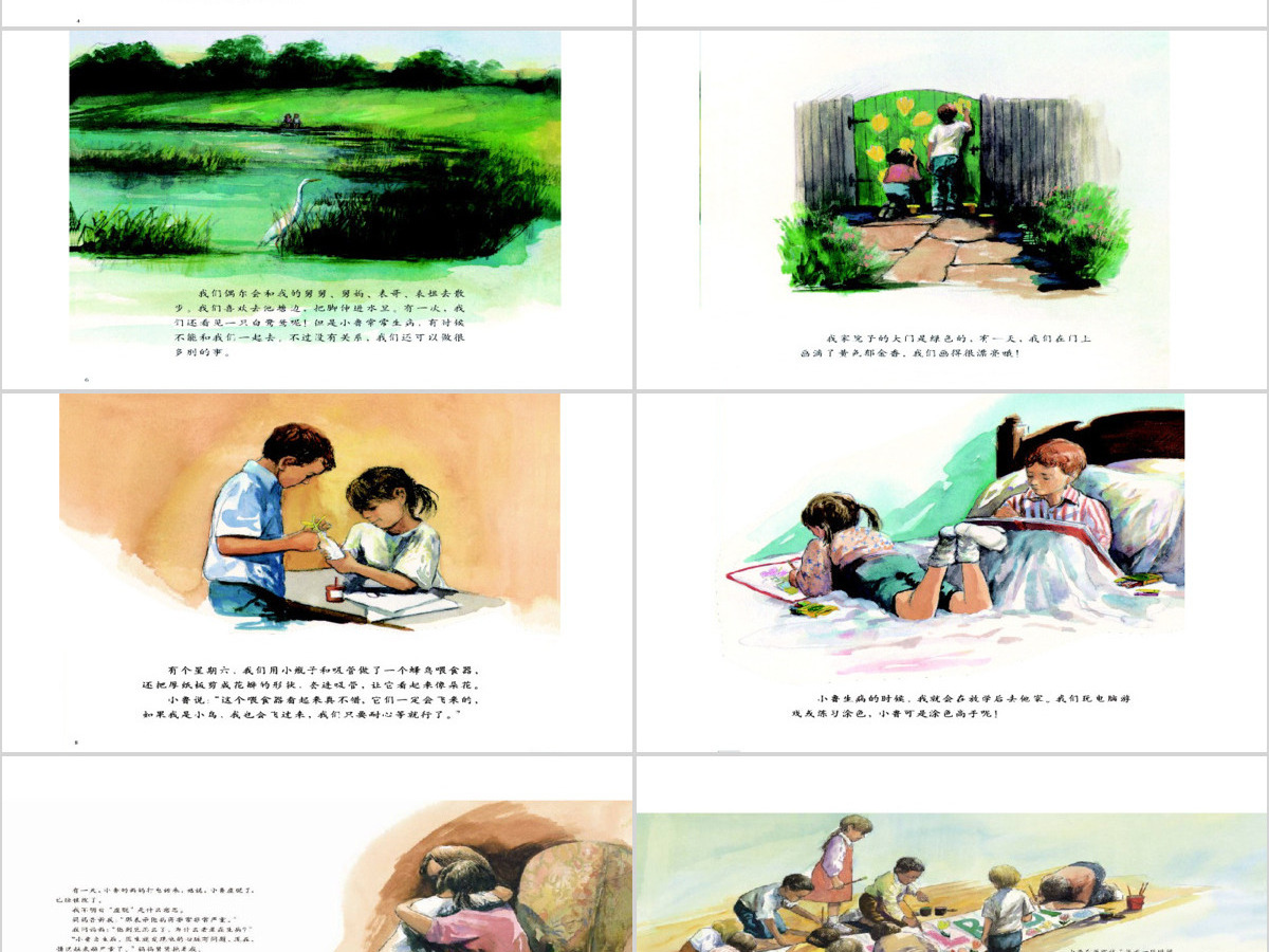 小鲁的池塘PPT绘本 小鲁的池塘PPT绘本