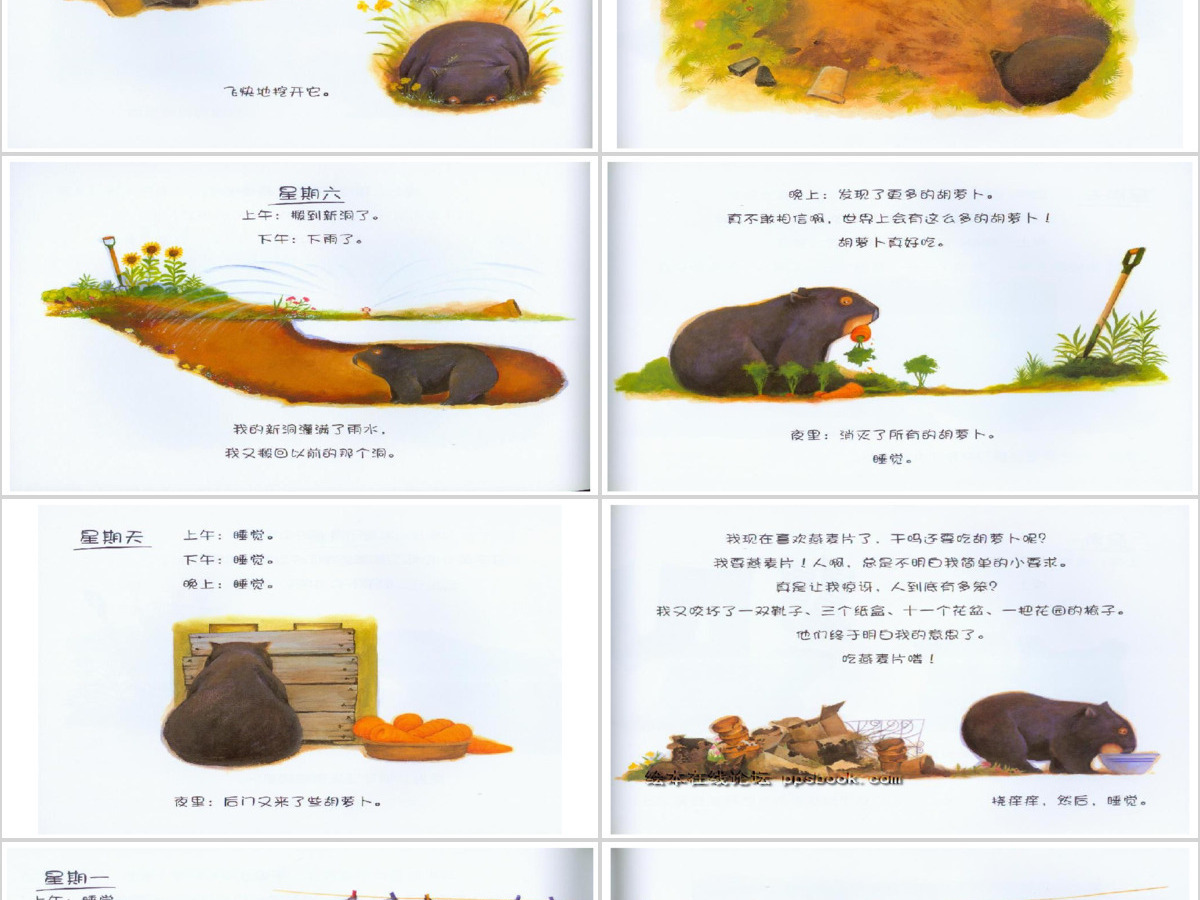 袋熊日记绘本课件 袋熊日记绘本课件