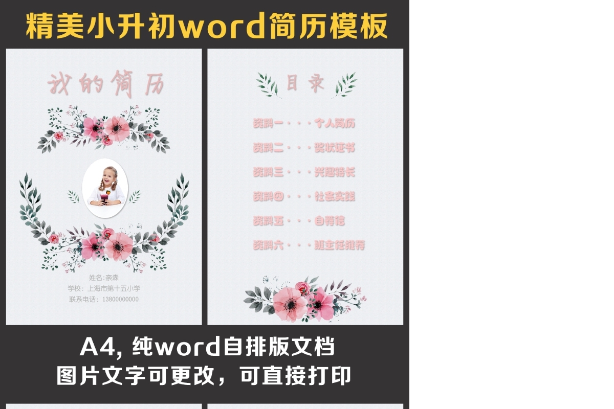 小升初简历