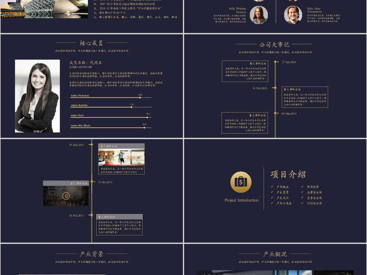 框架完整大气黑金商业策划书创业计划书PPT 框架完整大气黑金商业策划书创业计划书PPT