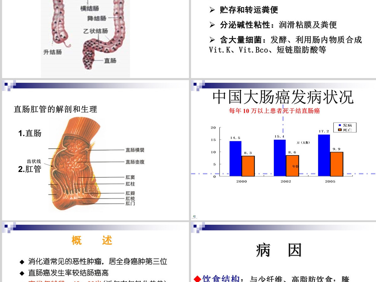 结肠癌直肠癌患者的护理护理查房PPT 结肠癌直肠癌患者的护理护理查房PPT