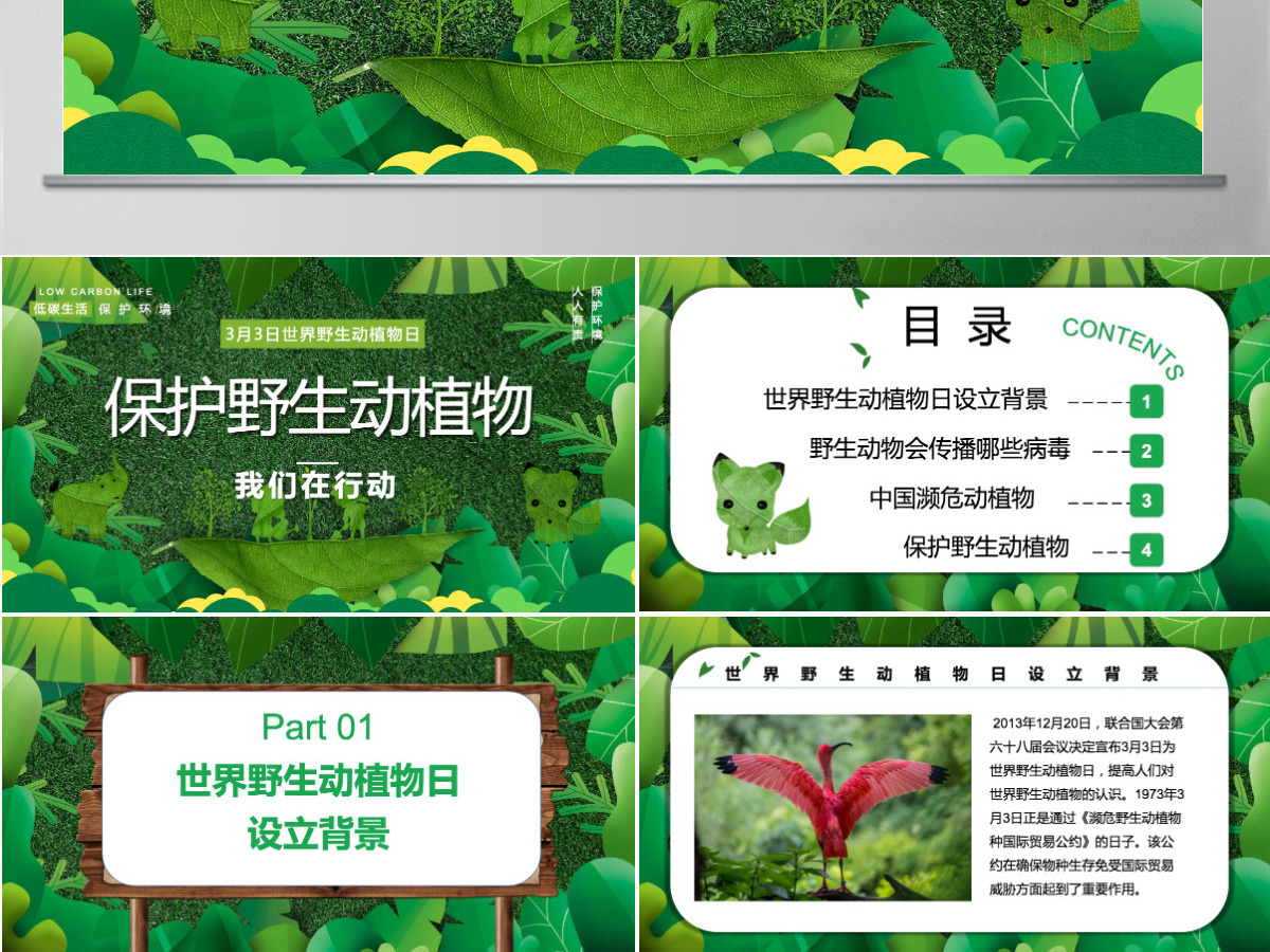 2022保护野生动植物卡通简约风世界野生动植物日知识介绍课件模板PPT