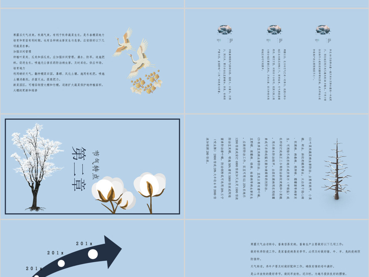 寒露节气PPT模板 寒露节气PPT模板