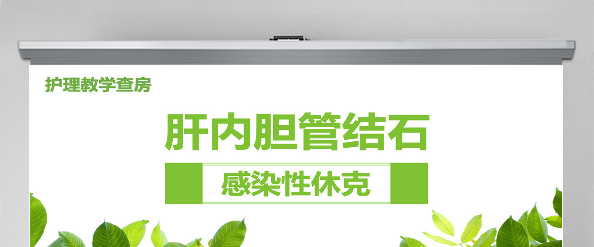 感染性休克肝胆内结石护理教学查房PPT模版