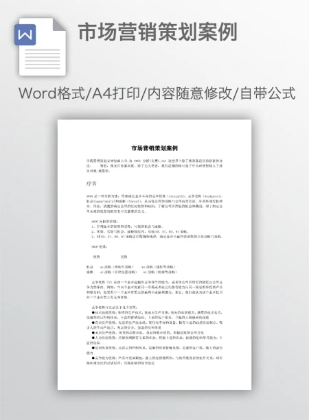 市场营销策划案例