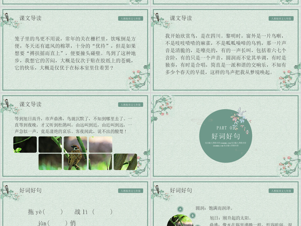 人教版初七年级语文鸟PPT课件