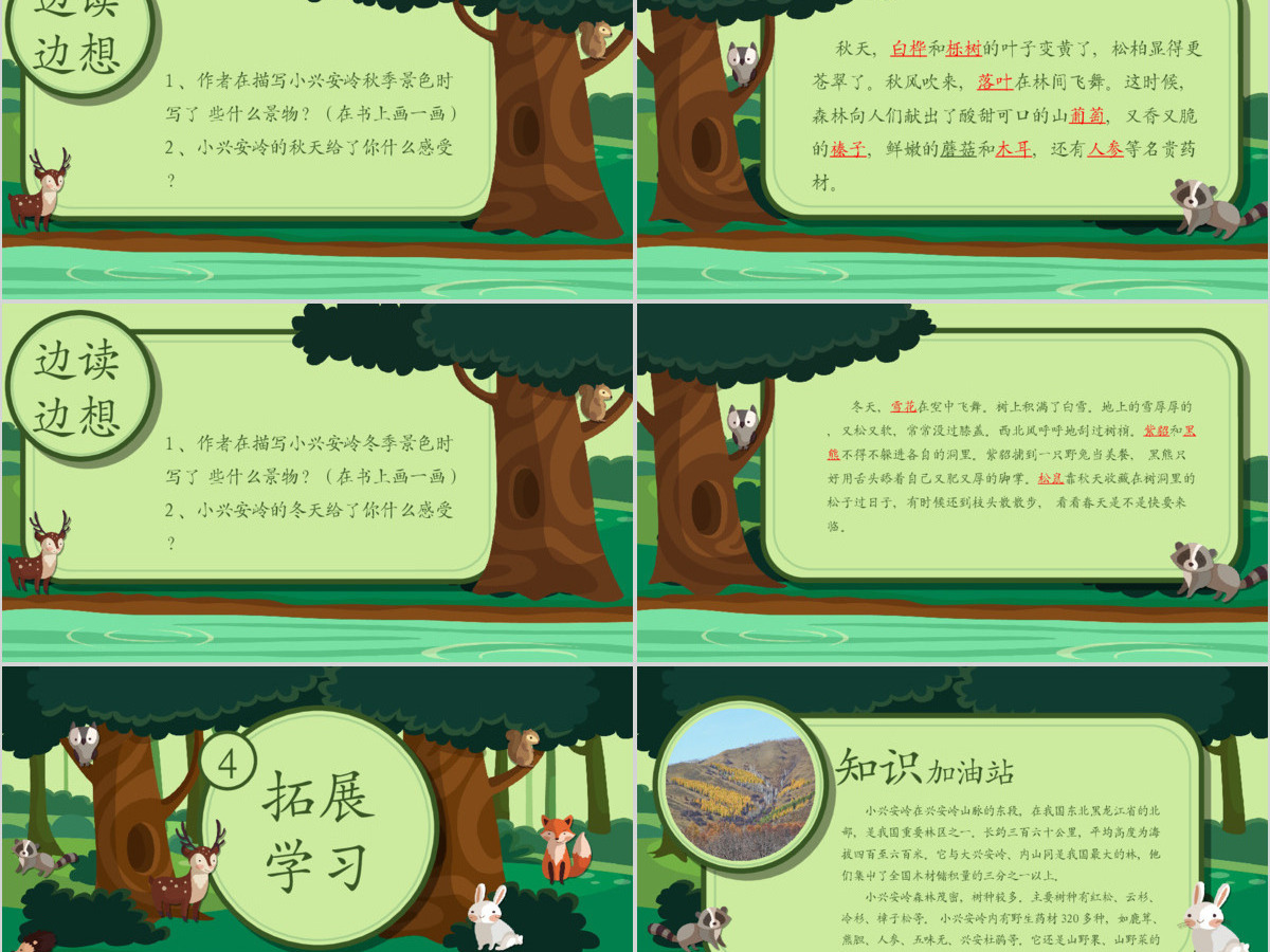 三年级语文美丽的小兴安岭PPT课件 三年级语文美丽的小兴安岭PPT课件