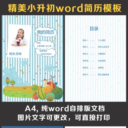 小升初简历