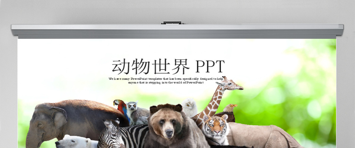 动物世界保护野生动物ppt动态模板 动物世界保护野生动物ppt动态模板