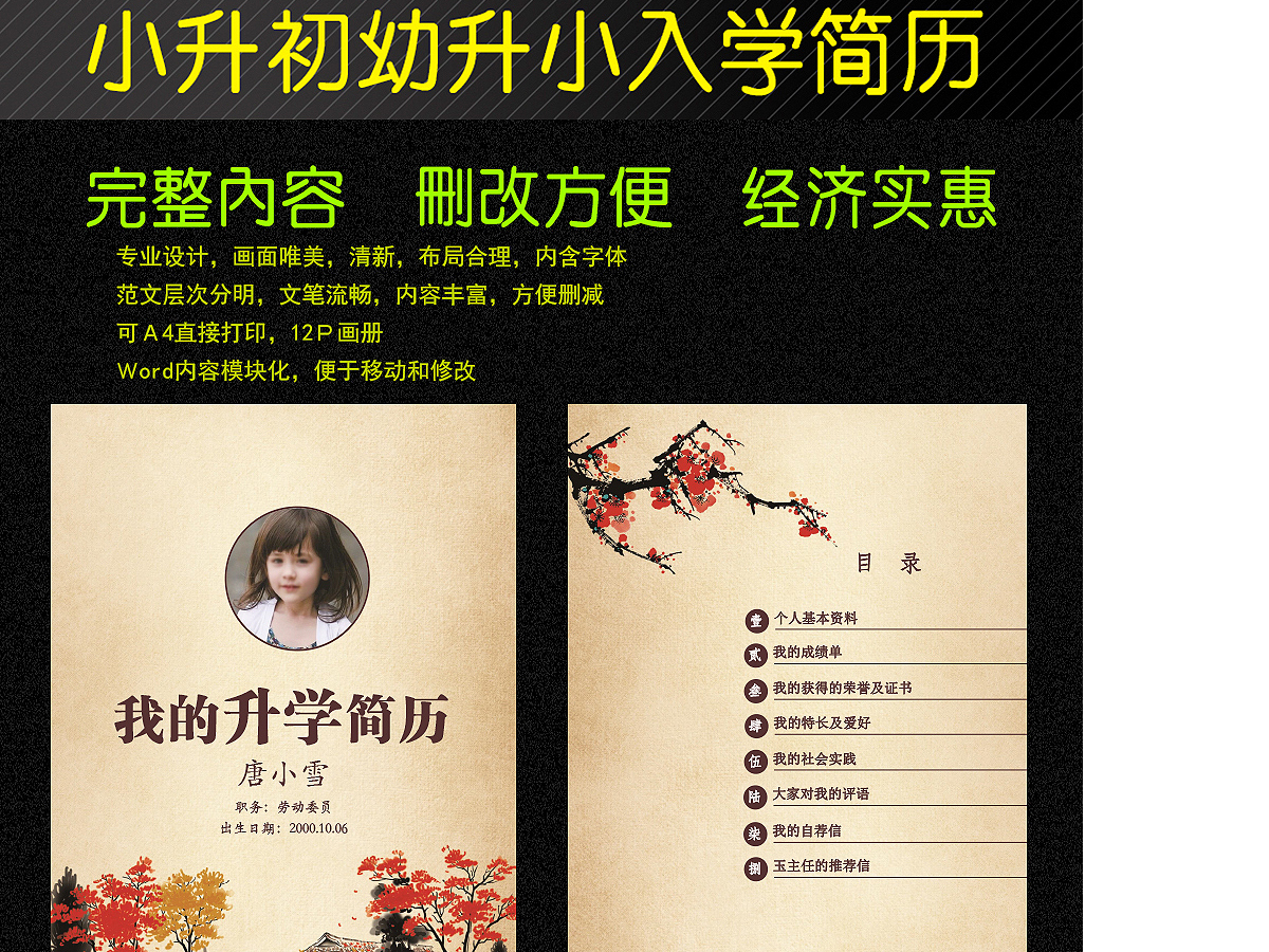 中国风水墨小升初Word简历模版