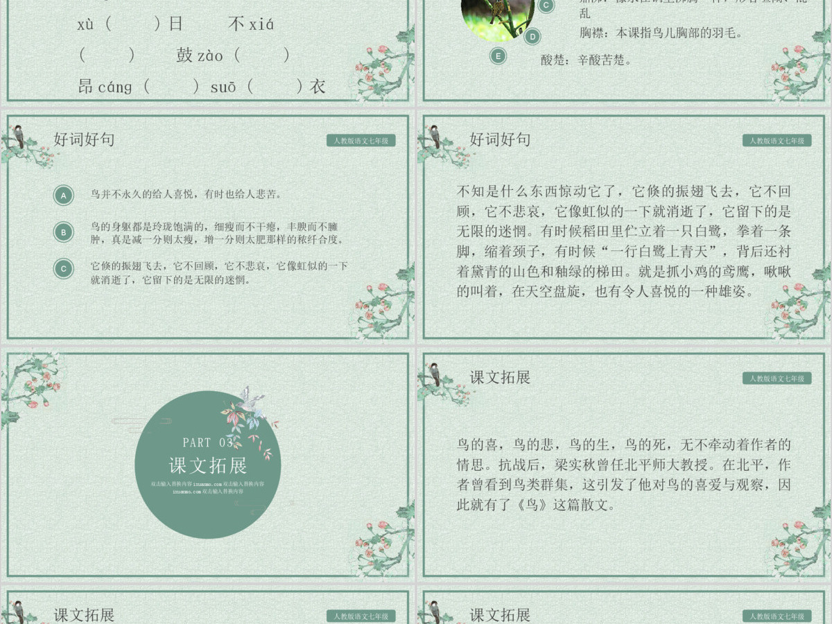 人教版初七年级语文鸟PPT课件