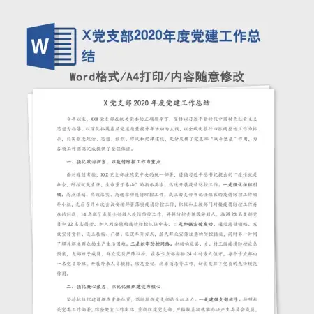 X党支部2020年度党建工作总结