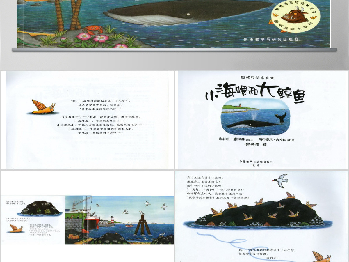 小海螺和大鲸鱼幼儿绘本教育课件 小海螺和大鲸鱼幼儿绘本教育课件