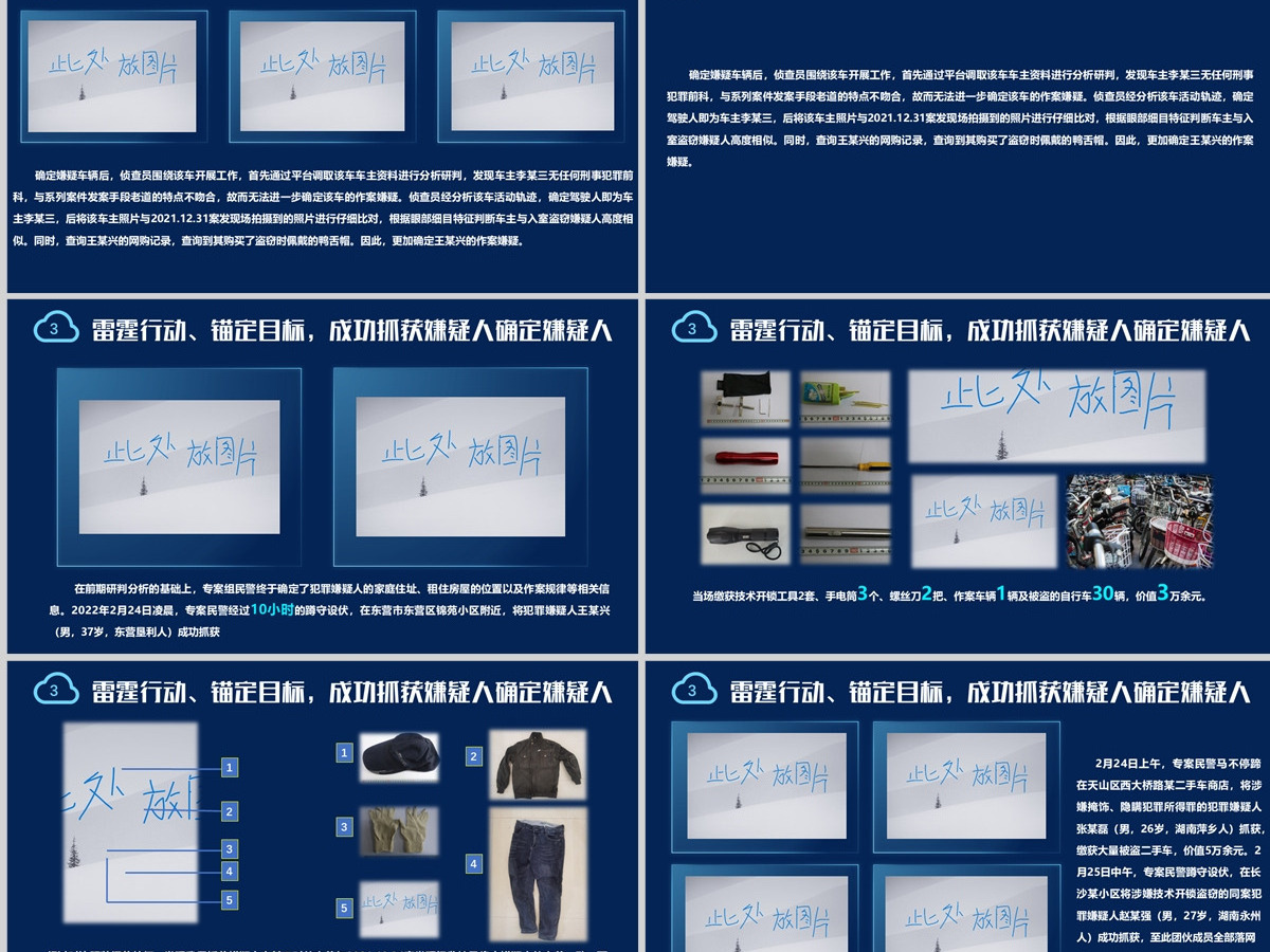 长沙分局自行车被盗案汇报PPT