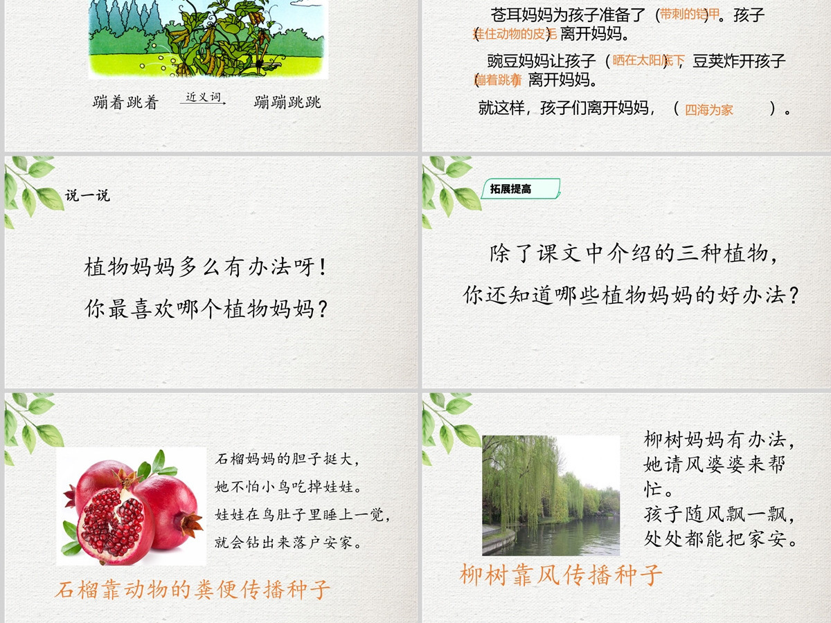 2022植物妈妈有办法简约卡通课文第3课小学二年级语文上册人教版教学课件PPT 2022植物妈妈有办法简约卡通课文第3课小学二年级语文上册人教版教学课件PPT