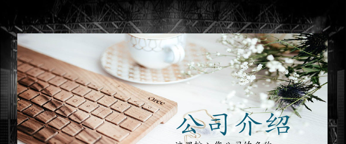 公司介绍企业宣传公司简介ppt模板
