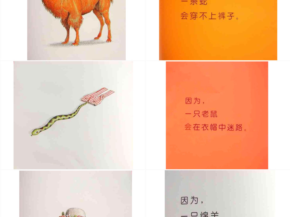 PPT下载绘本故事PPT《动物绝对不应该穿衣服》绘本故事PPT模板