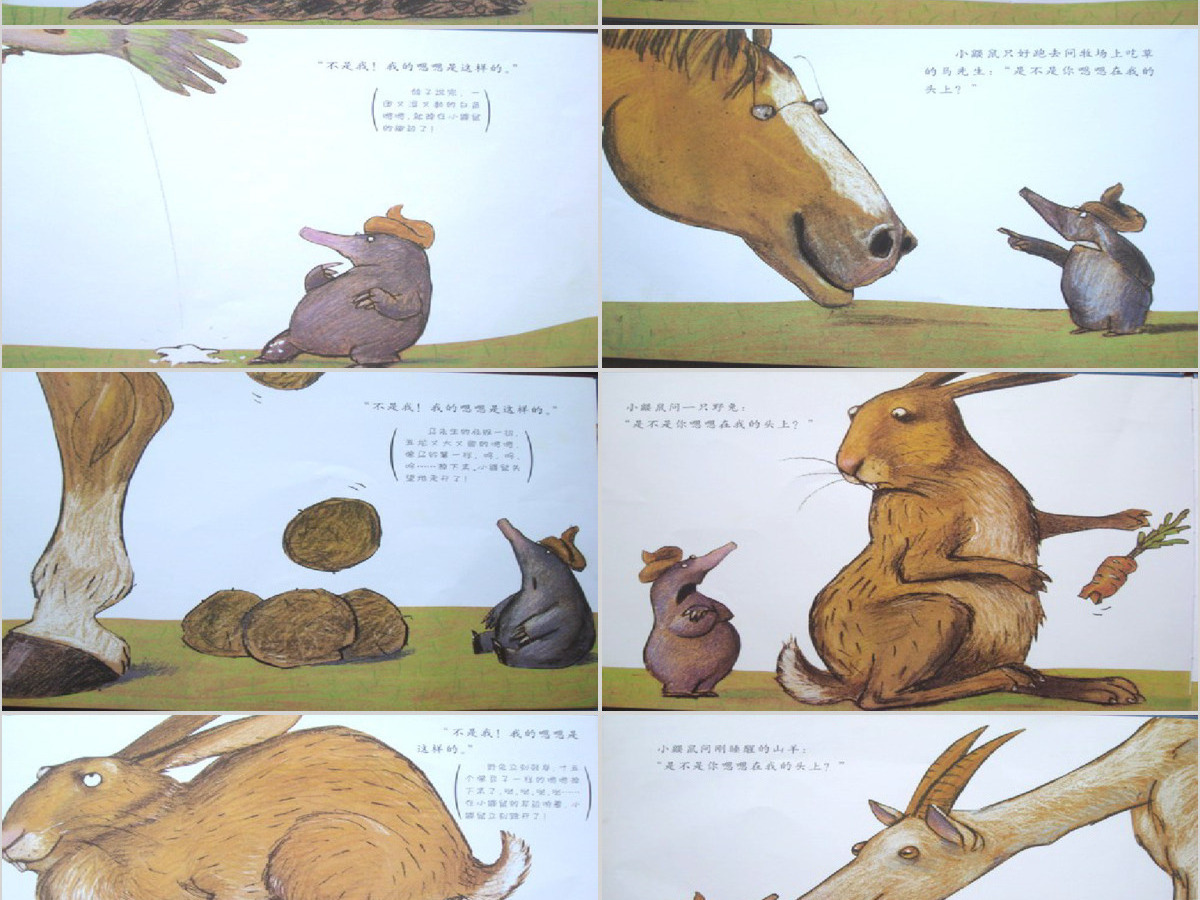 是谁嗯嗯在我的头上幼儿绘本教育课件 是谁嗯嗯在我的头上幼儿绘本教育课件